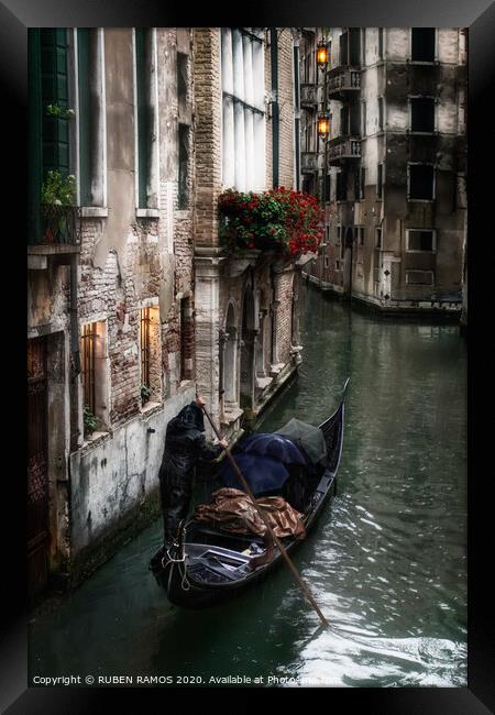 Man rowing a venetian gondola, Venice, Italy. Framed Print by RUBEN RAMOS