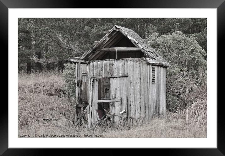 The Old Shed Framed Mounted Print by Carla Maloco