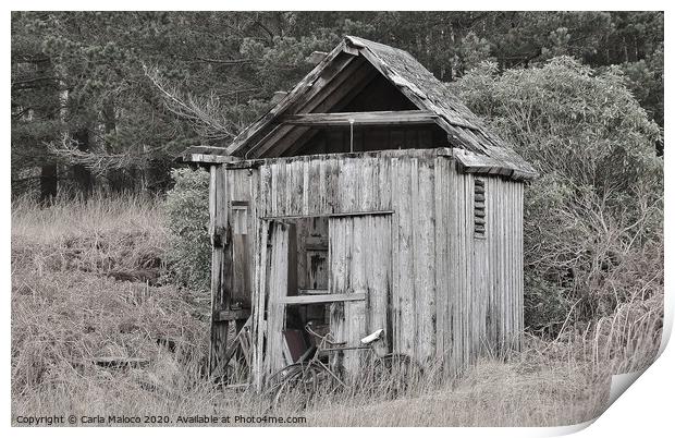 The Old Shed Print by Carla Maloco