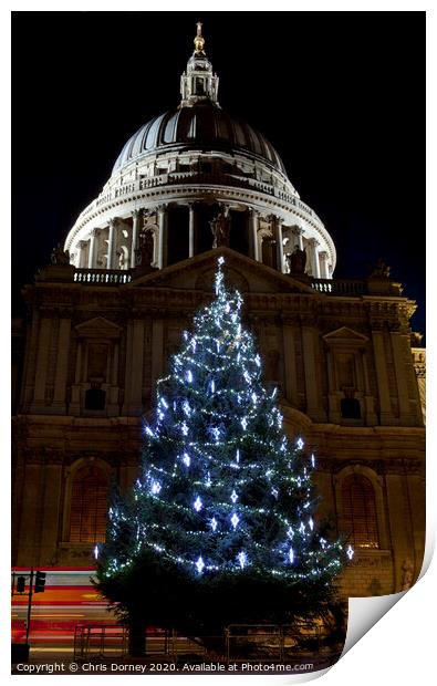 St. Paul's Cathedral at Christmas Print by Chris Dorney