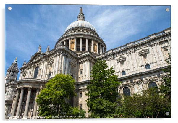 St. Pauls Cathedral in London Acrylic by Chris Dorney