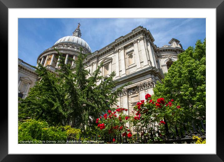 St. Pauls Cathedral in London Framed Mounted Print by Chris Dorney