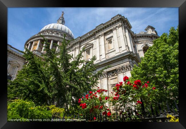 St. Pauls Cathedral in London Framed Print by Chris Dorney