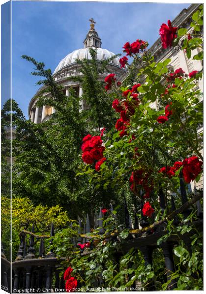 Red Roses at St. Pauls Cathedral in London Canvas Print by Chris Dorney
