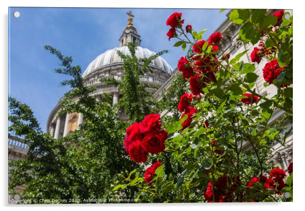 Roses at St. Pauls Cathedral in London Acrylic by Chris Dorney