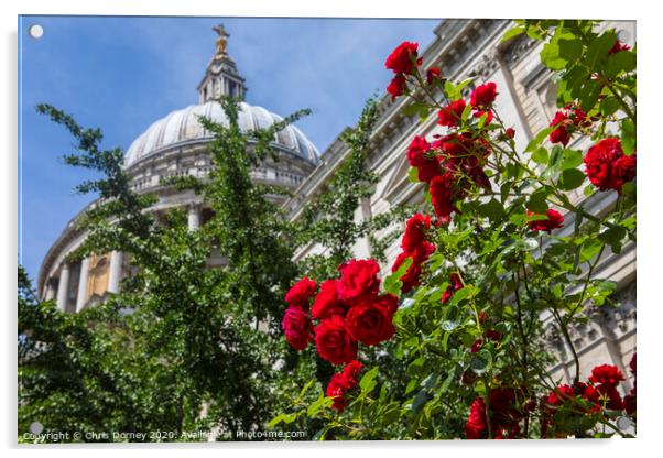 Roses at St. Pauls Catehdral in London Acrylic by Chris Dorney