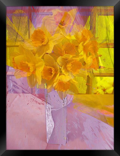 daffodils Framed Print by joseph finlow canvas and prints