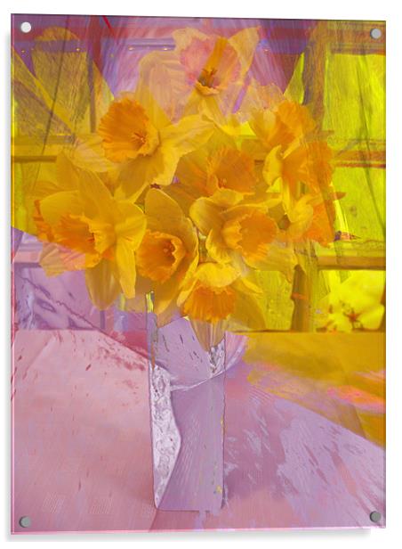 daffodils Acrylic by joseph finlow canvas and prints
