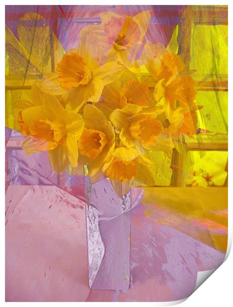 daffodils Print by joseph finlow canvas and prints