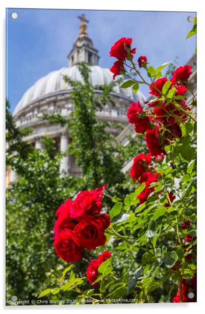 Roses at St. Pauls Cathedral in London Acrylic by Chris Dorney