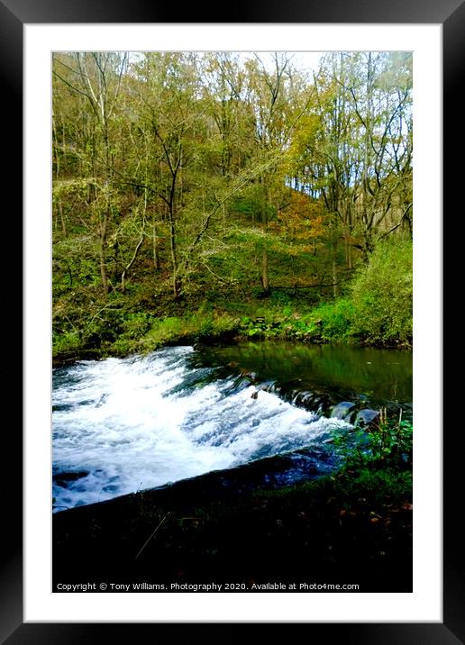  Trees and Water Framed Mounted Print by Tony Williams. Photography email tony-williams53@sky.com