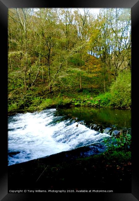  Trees and Water Framed Print by Tony Williams. Photography email tony-williams53@sky.com
