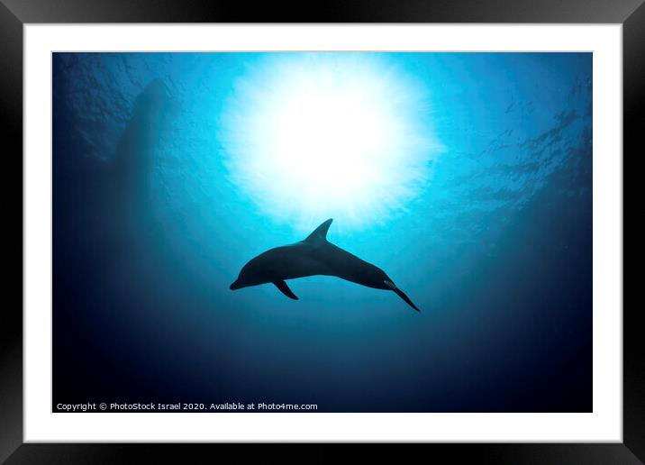 Others  Framed Mounted Print by PhotoStock Israel