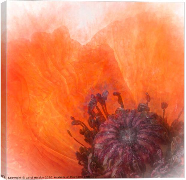 Poppy Abstract Canvas Print by Janet Burdon