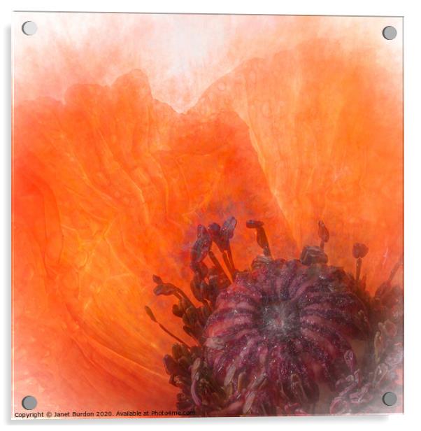 Poppy Abstract Acrylic by Janet Burdon