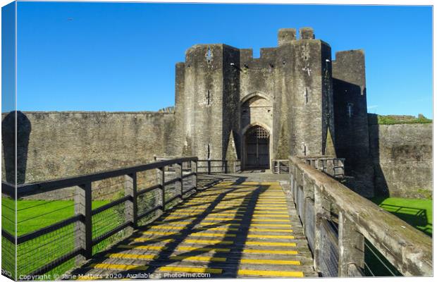 Entrance to a Castle Canvas Print by Jane Metters