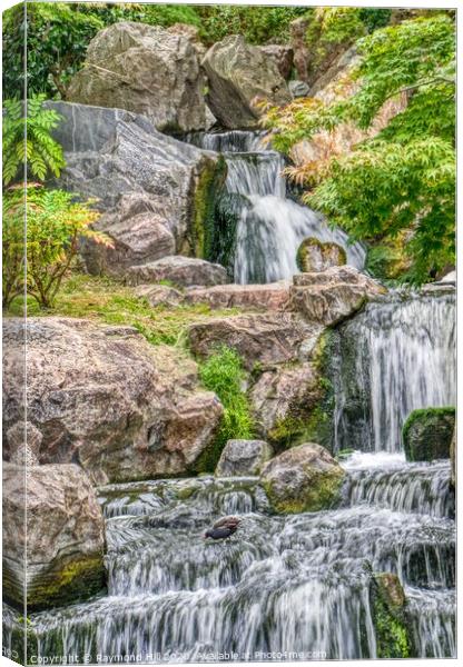 Kyoto Gardens Waterfall Canvas Print by Raymond Hill