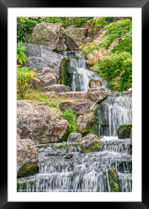 Kyoto Gardens Waterfall Framed Mounted Print by Raymond Hill
