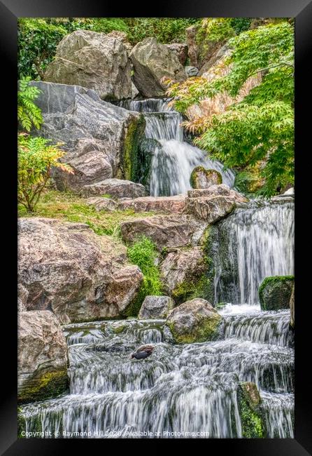 Kyoto Gardens Waterfall Framed Print by Raymond Hill