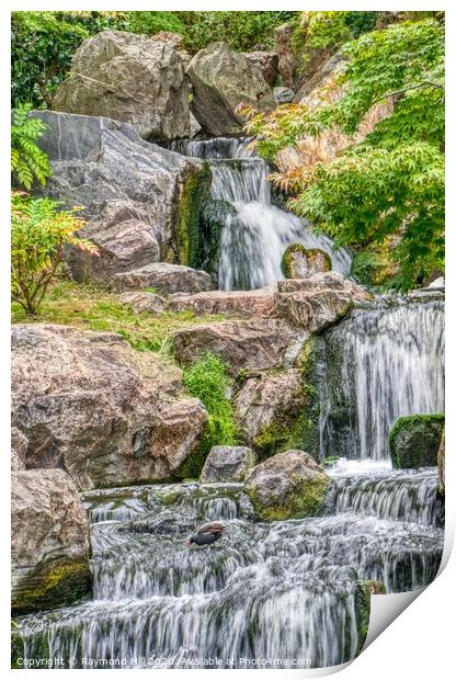 Kyoto Gardens Waterfall Print by Raymond Hill