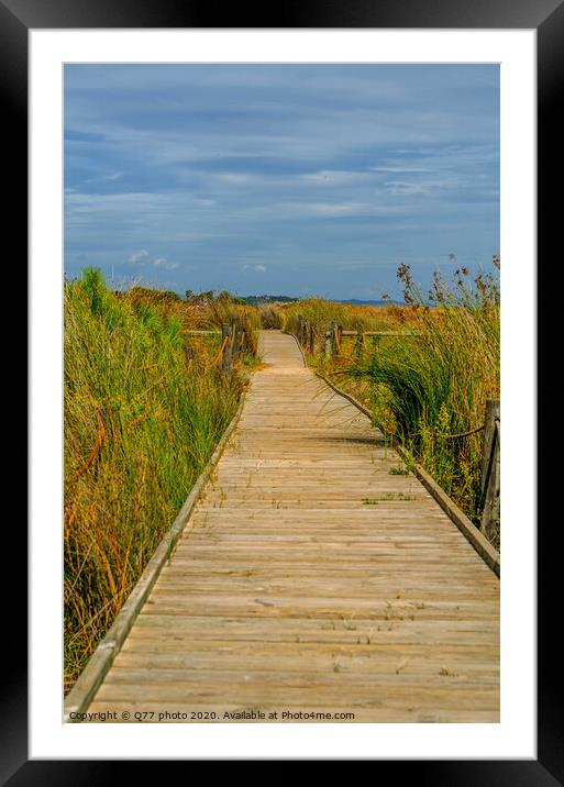 wooden boardwalk in the dunes leading to the sandy beach, the path by the sea, plants on the dunes Framed Mounted Print by Q77 photo