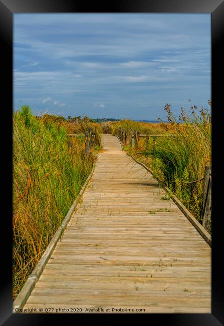 wooden boardwalk in the dunes leading to the sandy beach, the path by the sea, plants on the dunes Framed Print by Q77 photo