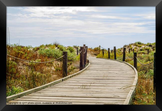wooden boardwalk in the dunes leading to the sandy beach, the path by the sea, plants on the dunes Framed Print by Q77 photo