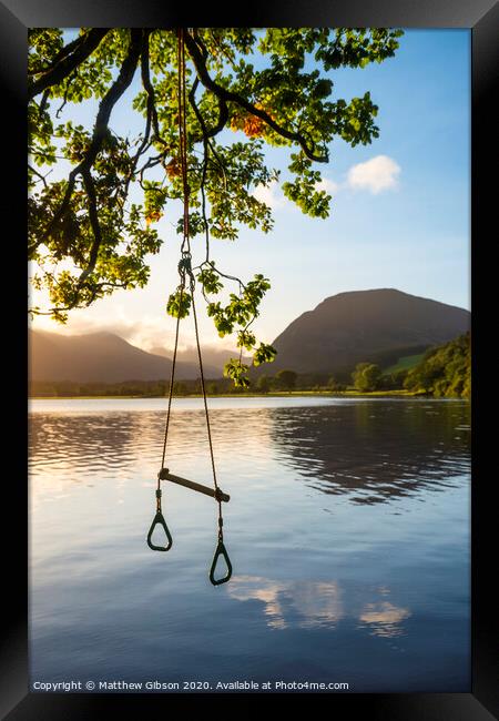 Quintessential beautiful English Summer landscape image of child's rope swing over calm lake in Lake District during golden Summer sunrise Framed Print by Matthew Gibson