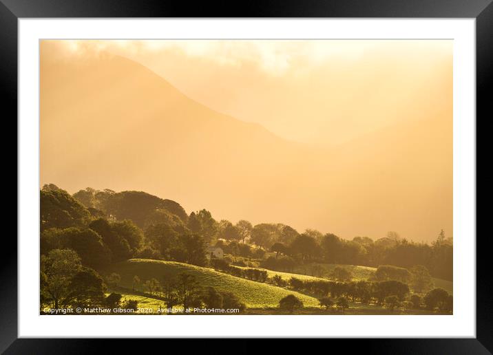 Epic golden light of sunrise on side of Low Fell in the English Lake District countryside during late Summer Framed Mounted Print by Matthew Gibson