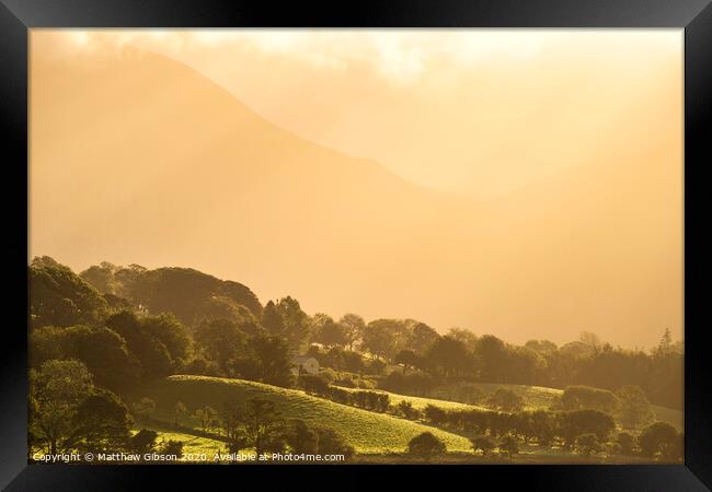 Epic golden light of sunrise on side of Low Fell in the English Lake District countryside during late Summer Framed Print by Matthew Gibson