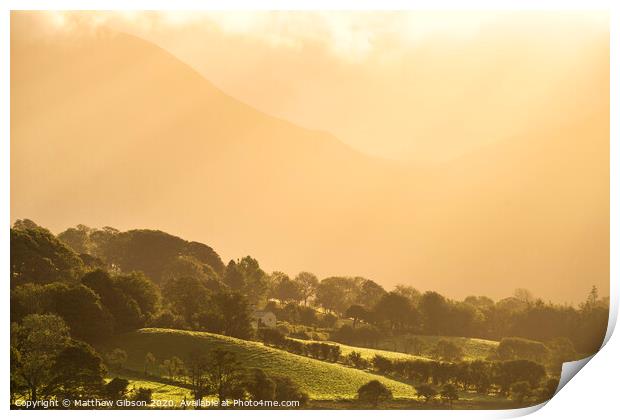 Epic golden light of sunrise on side of Low Fell in the English Lake District countryside during late Summer Print by Matthew Gibson