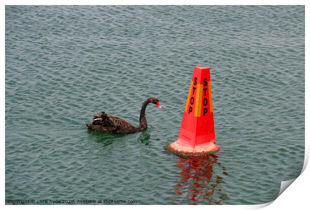 swan and buoy Print by chris hyde