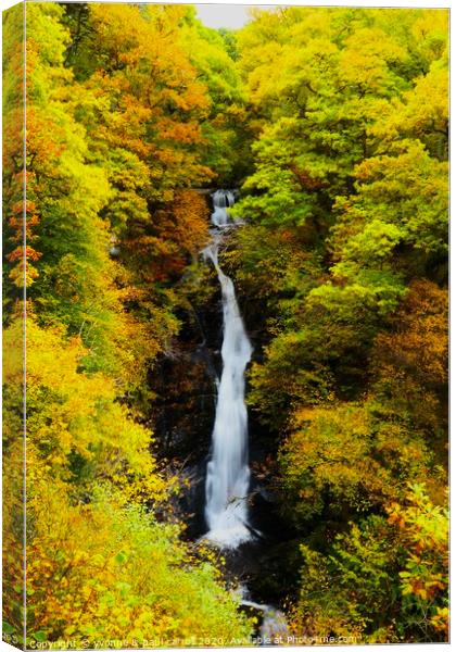 Black Spout Waterfall, Pitlochry Canvas Print by yvonne & paul carroll