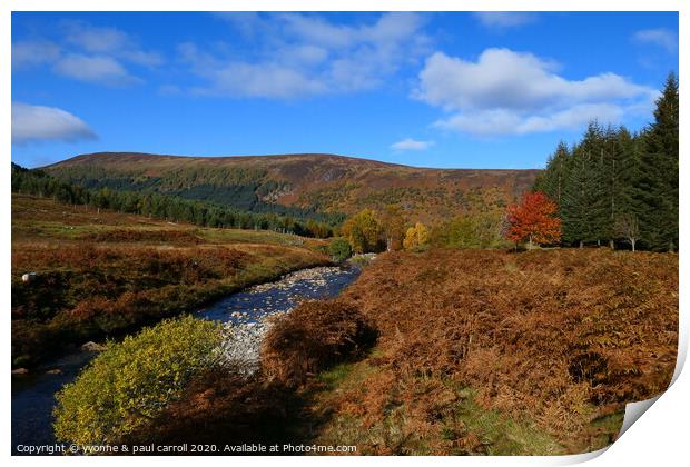 Ben Lawers Nature Reserve in Autumn Print by yvonne & paul carroll
