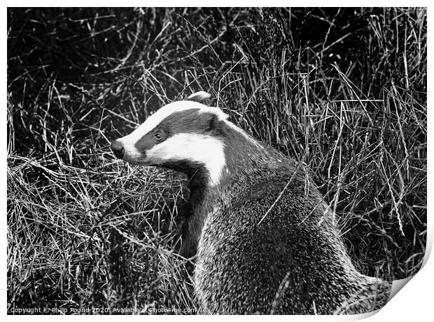 Badger Black and White Landscape Print by Philip Pound