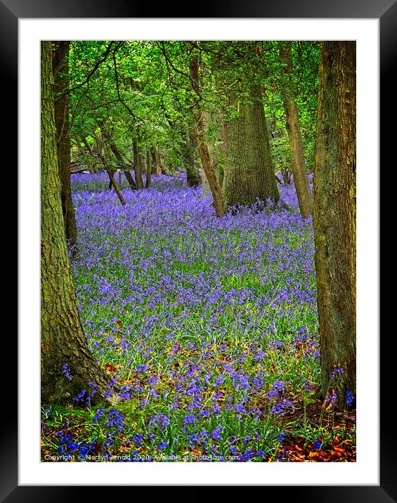 Signs of Hope - Bluebell Wood in Spring Framed Mounted Print by Martyn Arnold