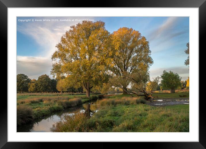 Autumn has arrived Framed Mounted Print by Kevin White
