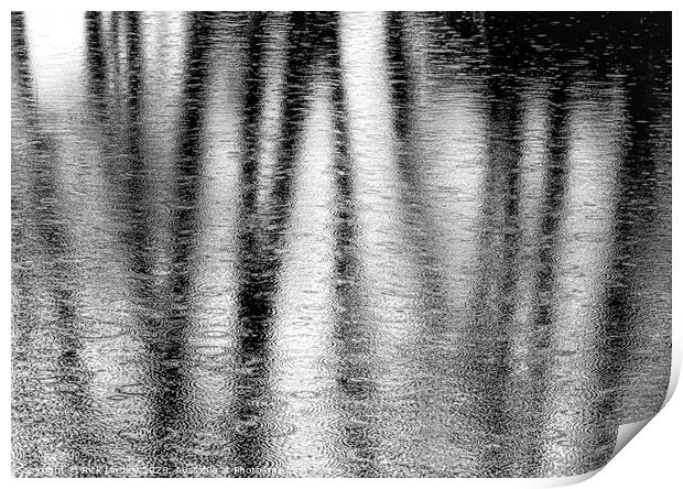 Reflection Print by Rick Lindley