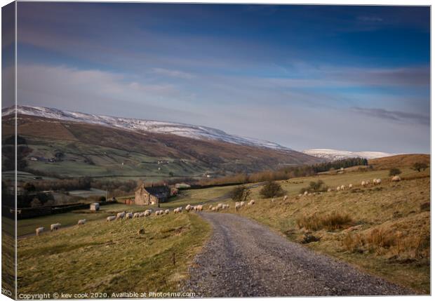 Hill Farm Canvas Print by kevin cook
