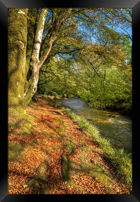 woodland walk river fowey cornwall Framed Print by Eddie John