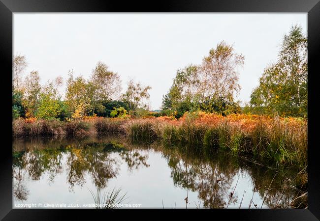 Autumn colours on an overcast day at Wolverton Framed Print by Clive Wells