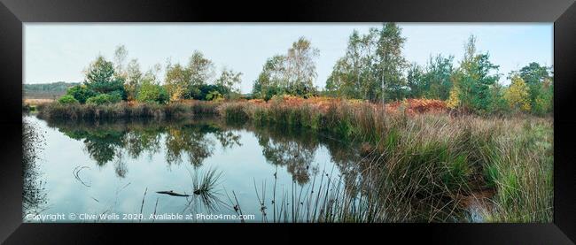 Small lake at Wolverton in Norfolk Framed Print by Clive Wells