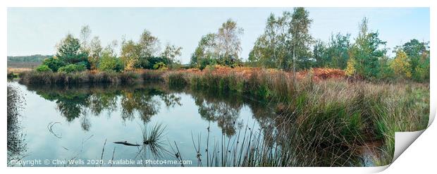 Small lake at Wolverton in Norfolk Print by Clive Wells