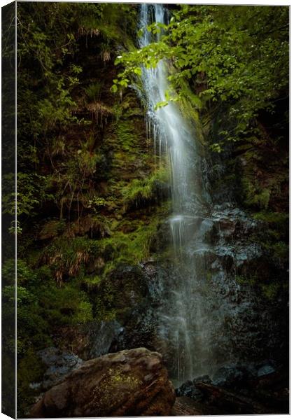 Mallyan Spout Waterfall Canvas Print by Wendy Williams CPAGB