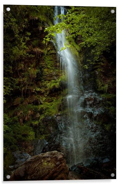 Mallyan Spout Waterfall Acrylic by Wendy Williams CPAGB