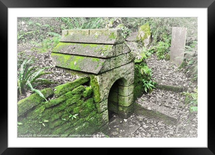 The Holy Well Of St Keyne , Cornwall. Framed Mounted Print by Neil Mottershead