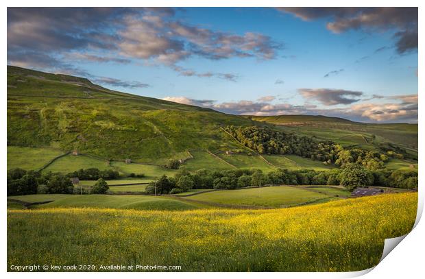 Swaledale buttercups Print by kevin cook