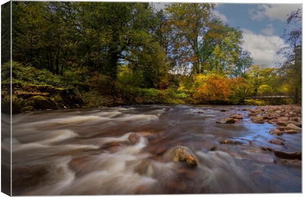 Autumn on the river Tawe Canvas Print by Leighton Collins