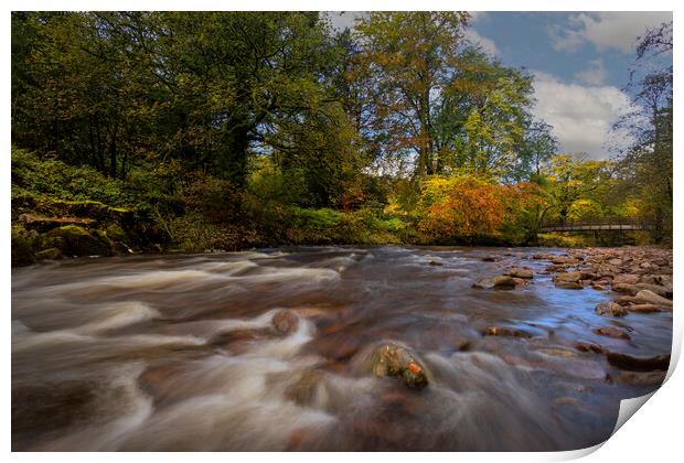 Autumn on the river Tawe Print by Leighton Collins