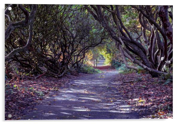 Tree lined Rhododendron walkway Acrylic by Leighton Collins